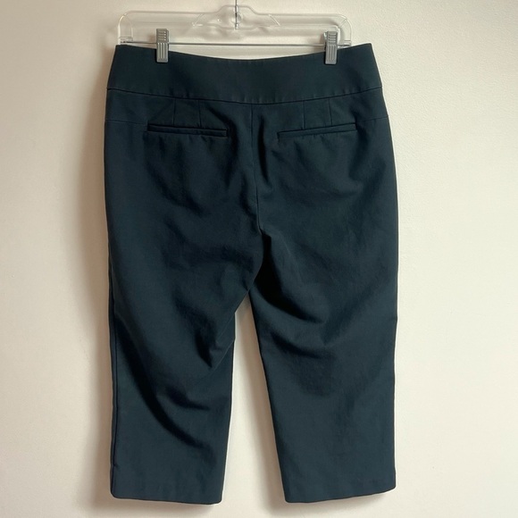 Ann Taylor LOFT Julie Straight Leg Capri Chino Pants Solid Gray Mid Rise Size 6 - Picture 6 of 6